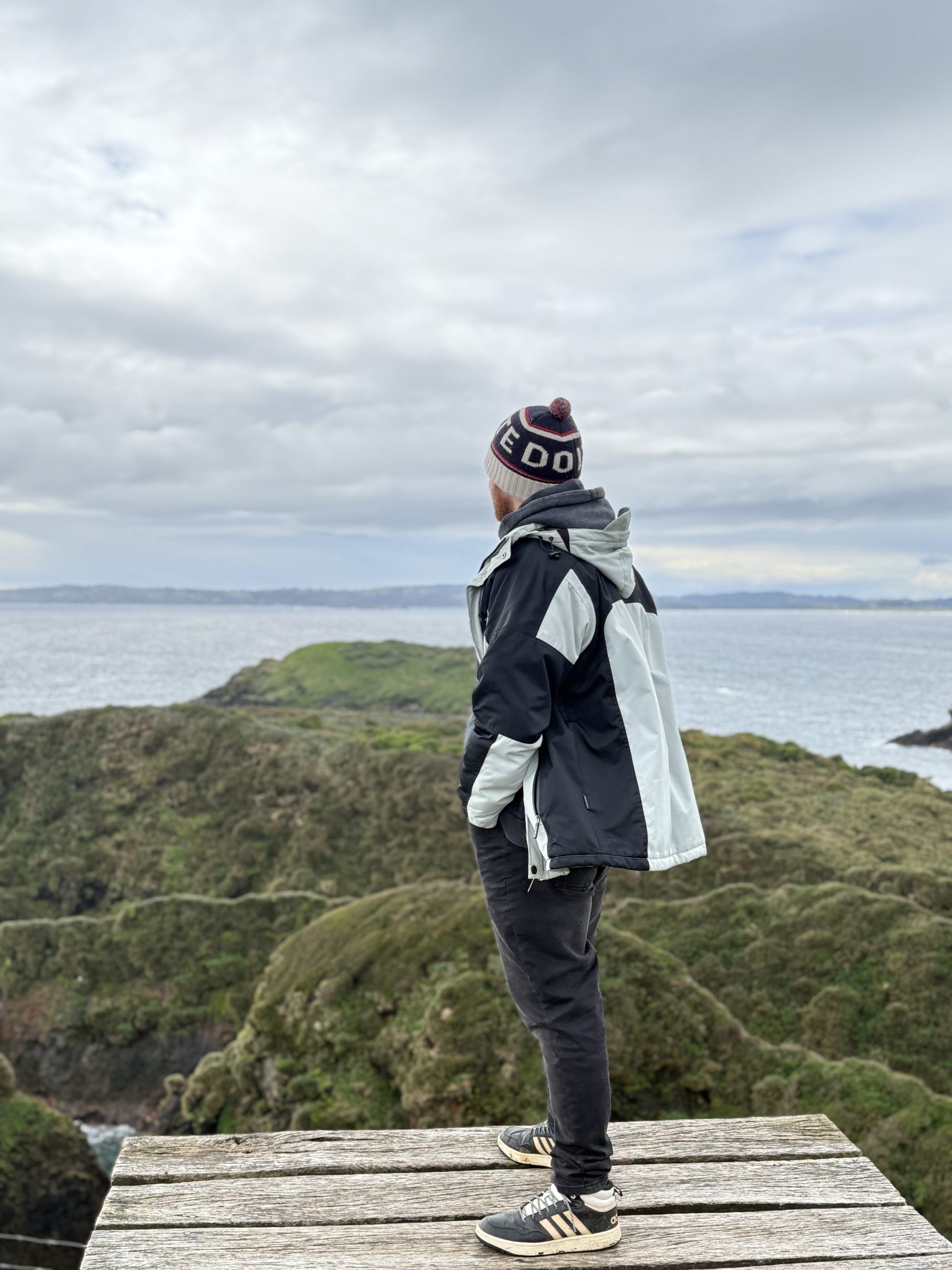 TOUR FULL DAY PINGÜINERAS ANCUD - Imagen 24