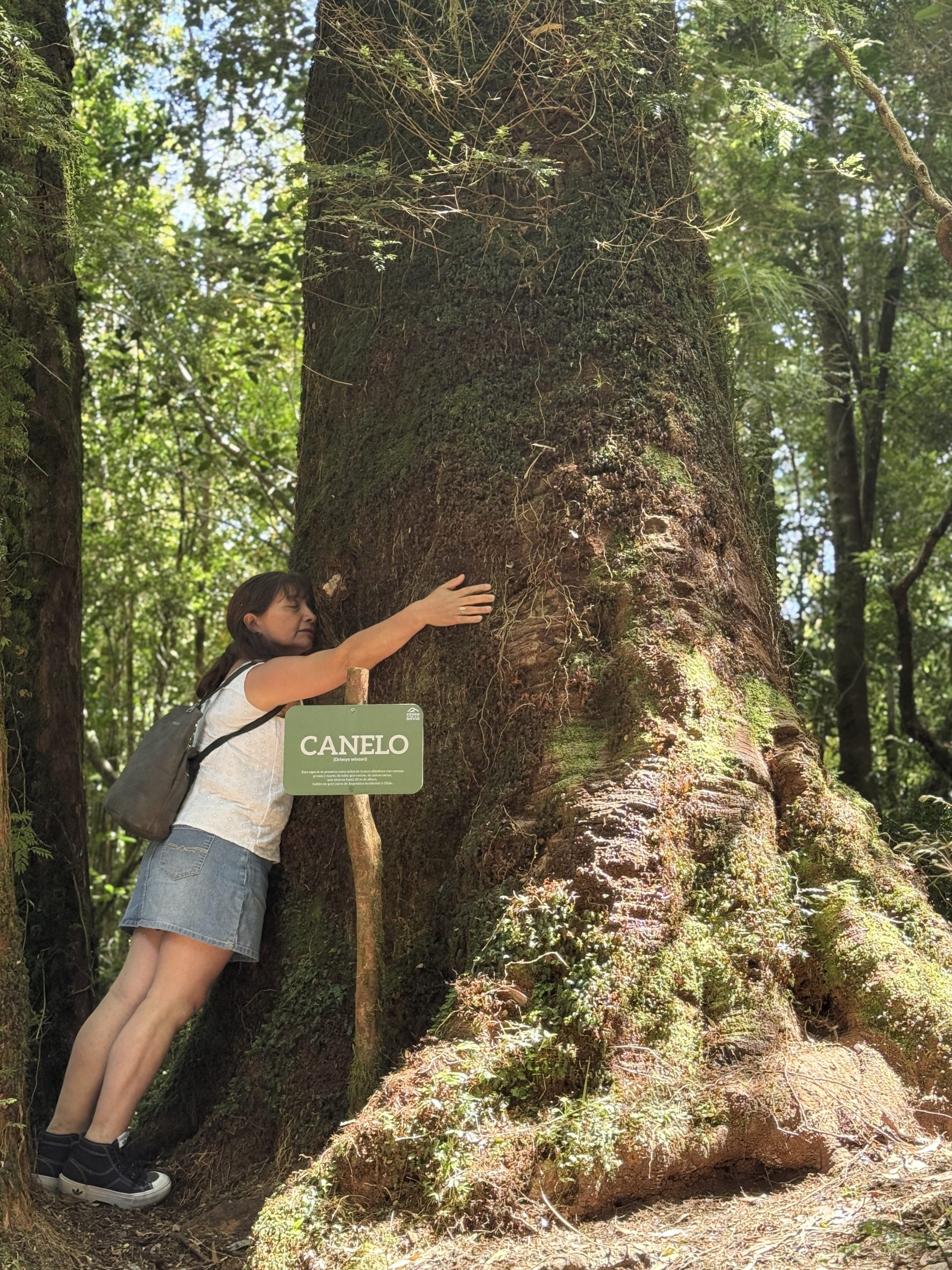 TOUR FULL DAY PINGÜINERAS ANCUD - Imagen 25