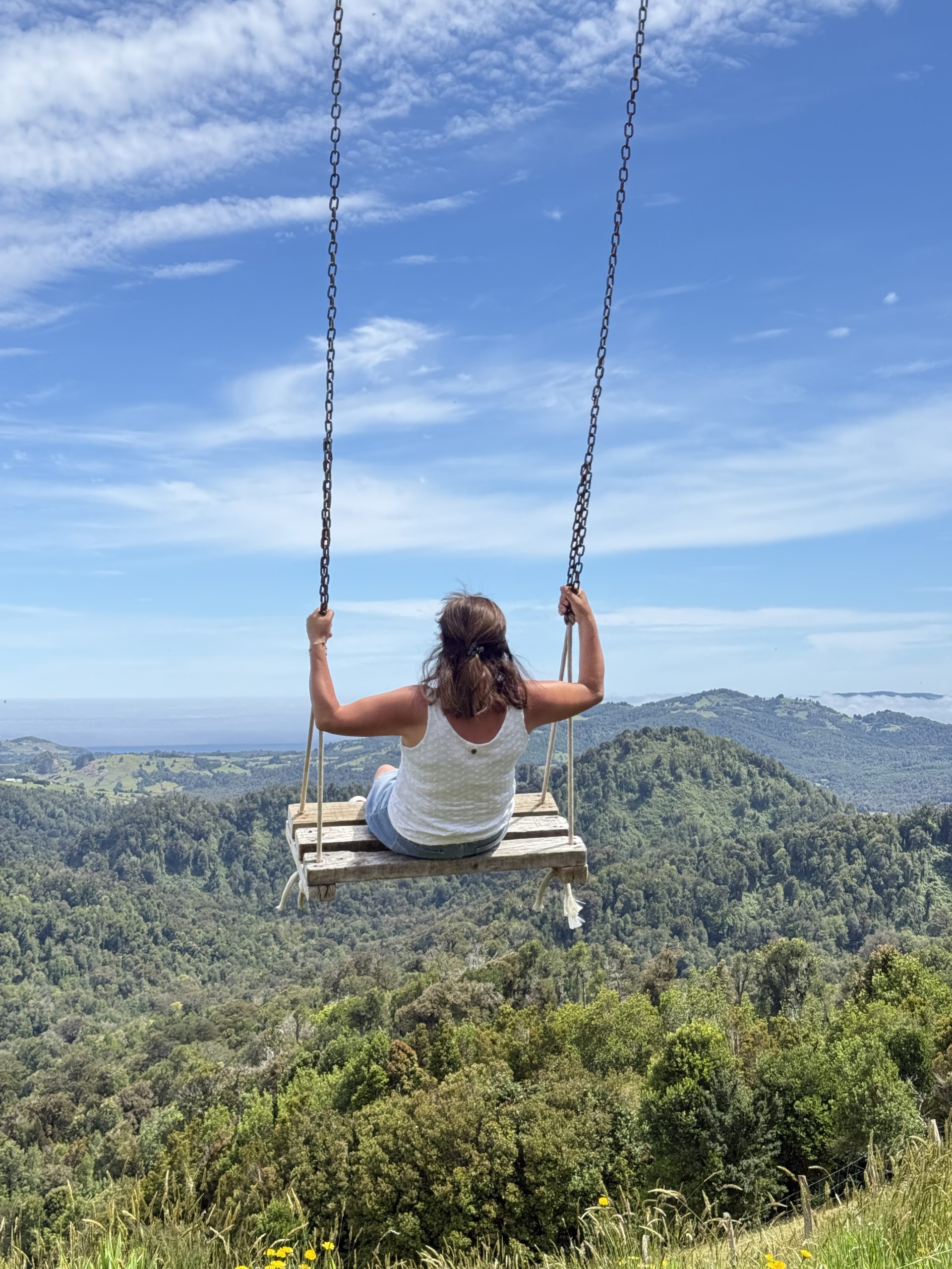 TOUR FULL DAY PINGÜINERAS ANCUD - Imagen 30