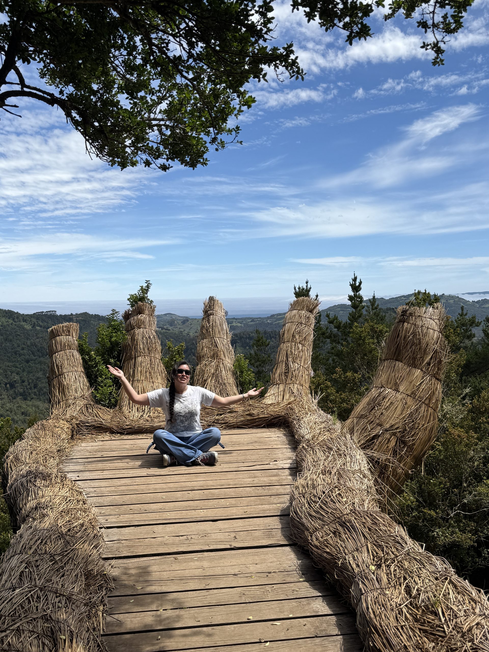 TOUR FULL DAY PINGÜINERAS ANCUD - Imagen 26