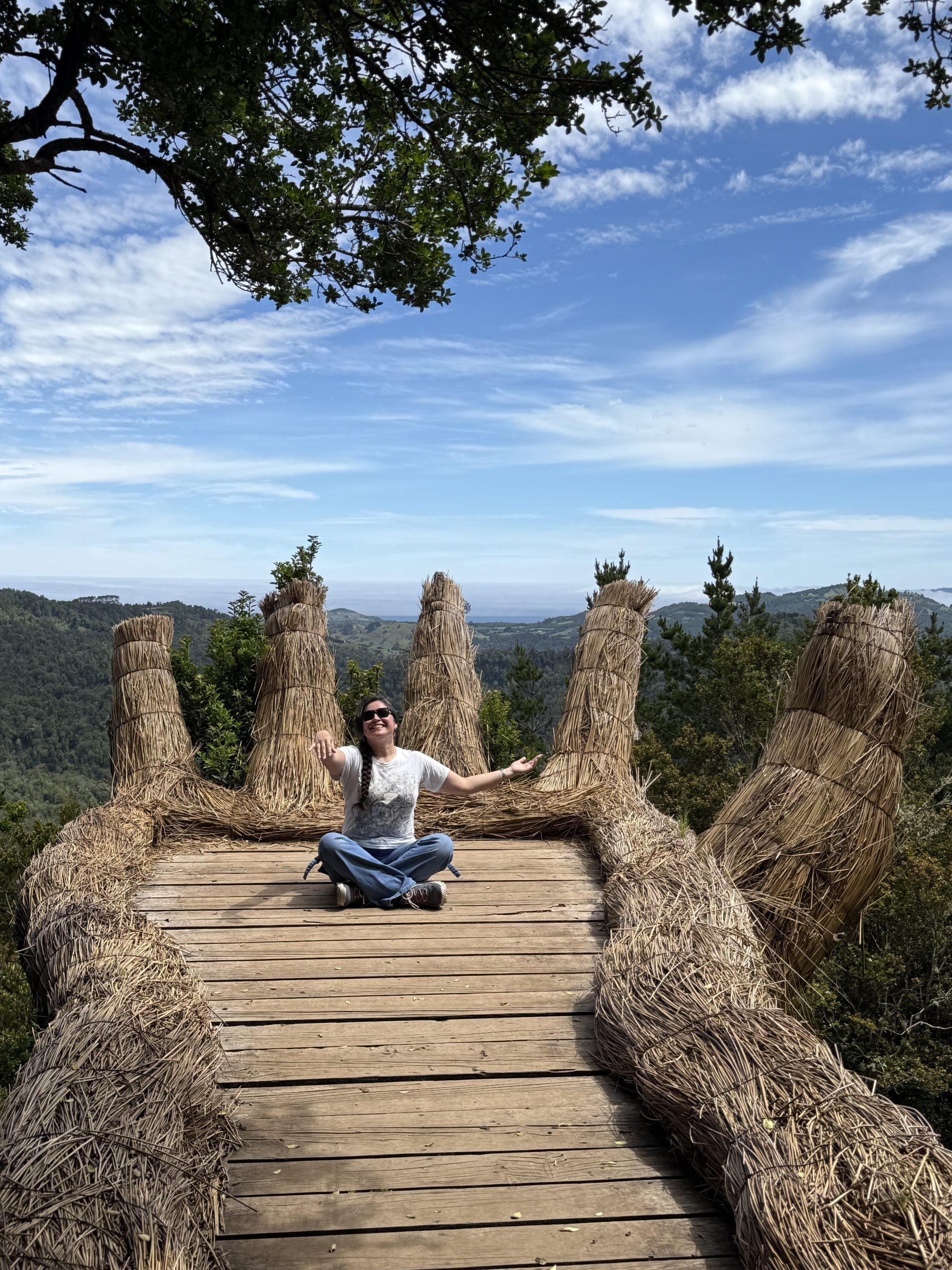 TOUR FULL DAY PINGÜINERAS ANCUD