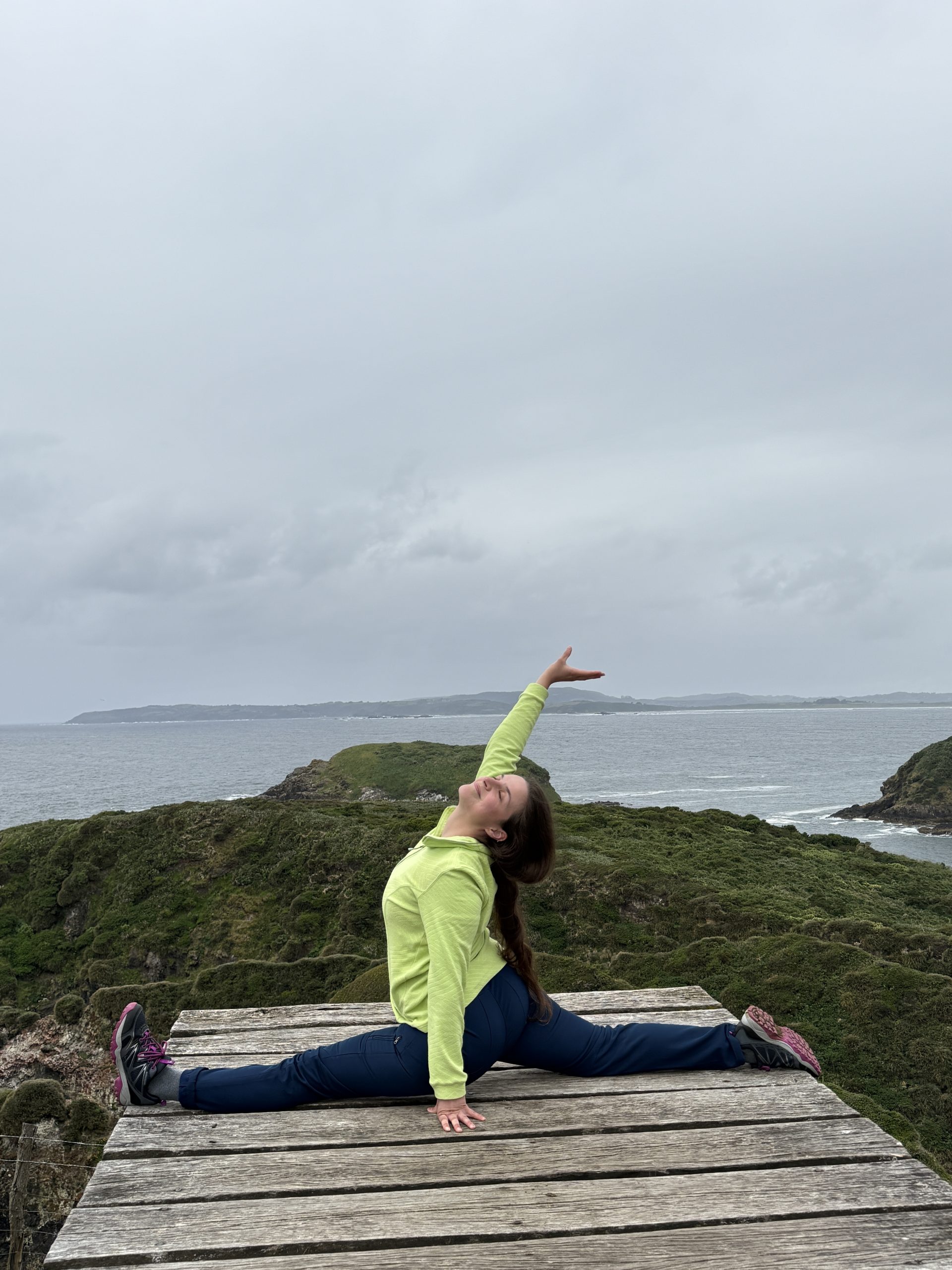 TOUR FULL DAY PINGÜINERAS ANCUD - Imagen 32